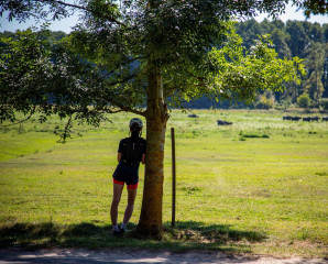 Crossing the Buffalo Reserve - only during opening hours