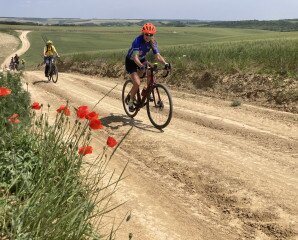 Geländewechsel im dichten Somogy